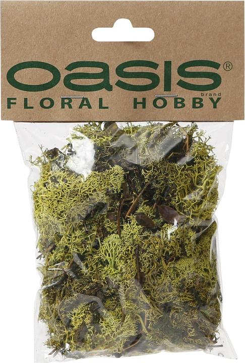 I Am Creative Finland moss