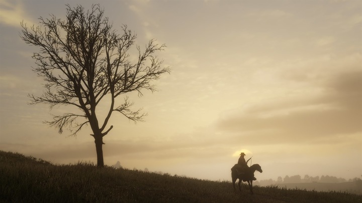 Actual product image Microsoft Dead Redemption 2 Standard Xbox One (Xbox One S, EN)