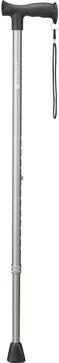 Vitility Walking stick