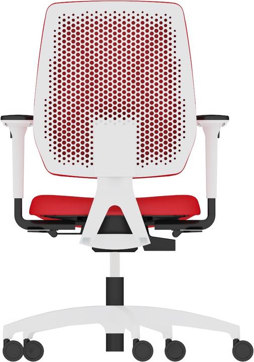 Actual product image Dauphin 7639 SLP2 (40 - 52 cm)