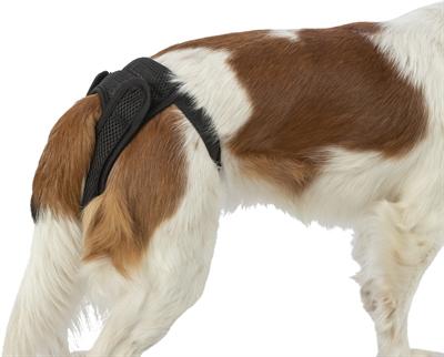 Actual product image Trixie Beschermbroekje Comfort Mesh Materiaal Zwart (Dog)