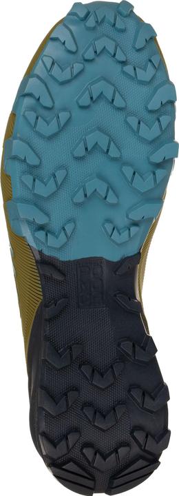 Produktbild Dynafit Traverse (47)