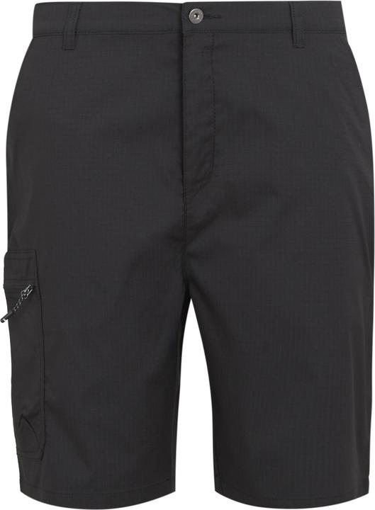 Actual product image Regatta Mens Dalry Multi Pocket Shorts (33)