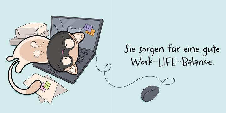 Productafbeelding Katzen (sind) verrückt – 40 Gründe, warum deine Katze nicht von dieser Welt ist (Duits, Katharina Hohmann, 2022)