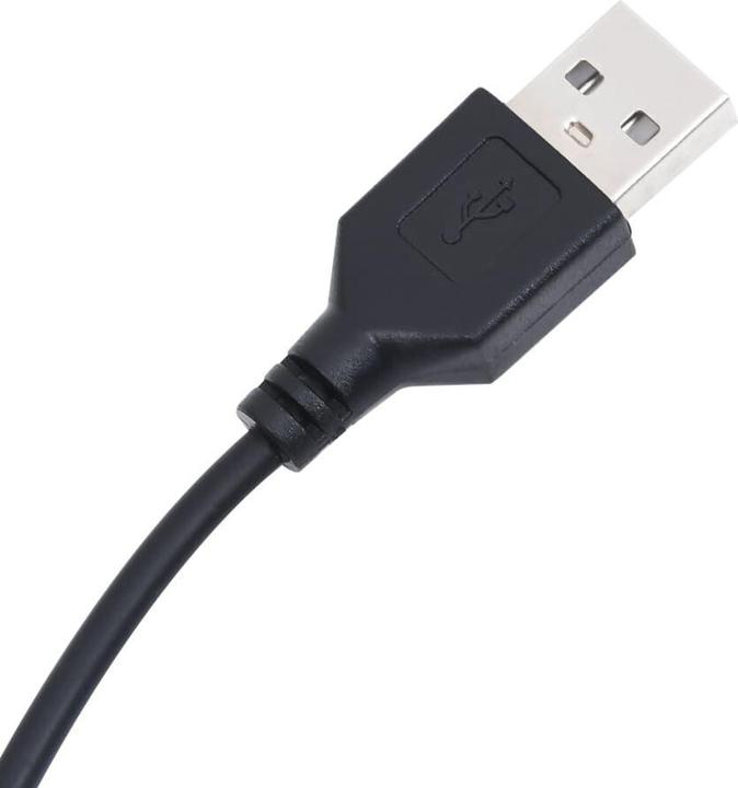 Immagine prodotto vidaXL Spiegel (100 x 37 cm)