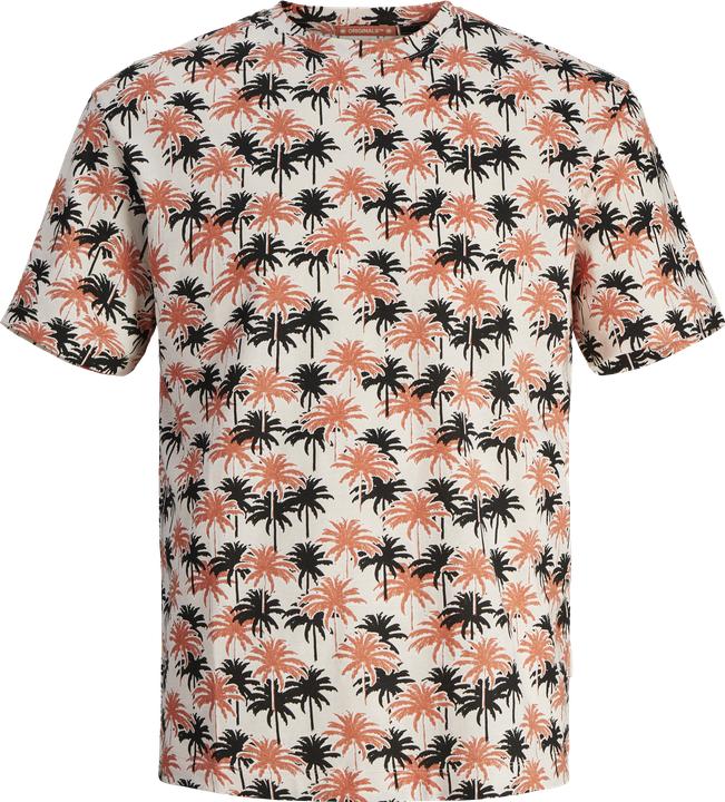 Produktbild Jack & Jones Joraruba Convo Aop Tee Ss Crew Nec Mni (128)