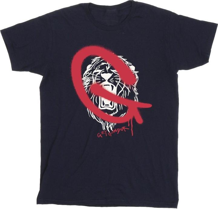 Produktbild Gryffindor Pop Spray TShirt Jungen (128)