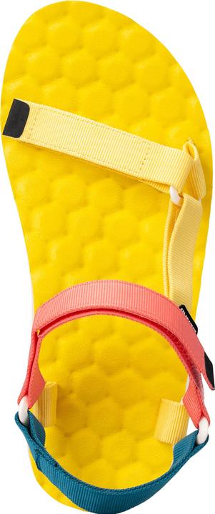 Actual product image Lizard Trail Max (40)