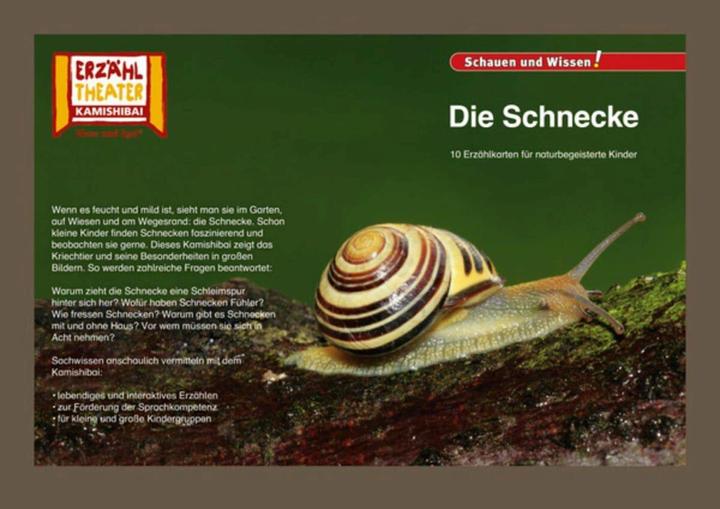 Actual product image Kamishibai: The snail (German, 2017)