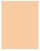 Produktbild Dr. Hauschka Foundation 002 pine (Nr. 002 - Pine)