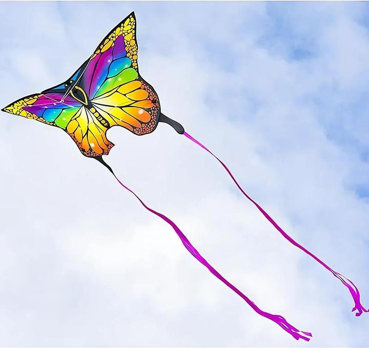 Produktbild Invento Butterfly Rainbow