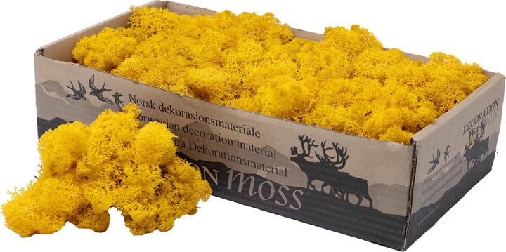 Produktbild Flowerbox Islandmoos