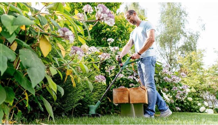 Actual product image Bosch Home & Garden EasyGrassCut 18V-230 cordless lawn trimmer (Trim line)