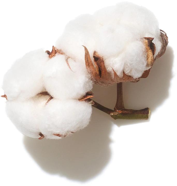 Produktbild Wella Volume Boost (Flüssiges Shampoo, 500 ml)