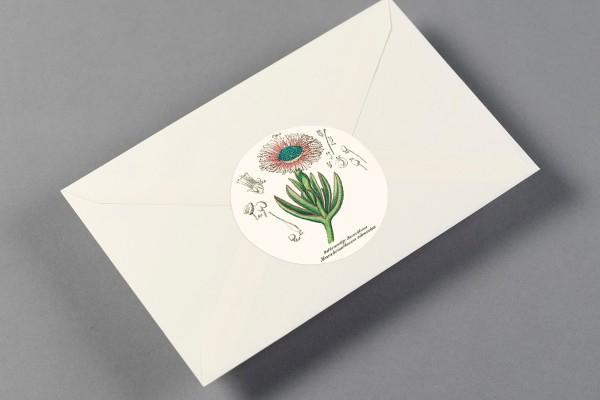 Produktbild Book Flora