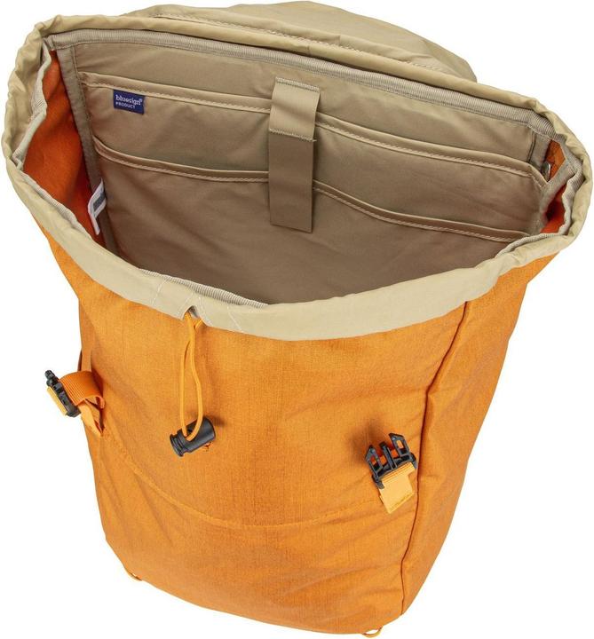 Actual product image Deuter Walker 24 (24 l)