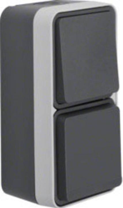 Berker Contactdoos/verwisselbare contactdoos combinatie