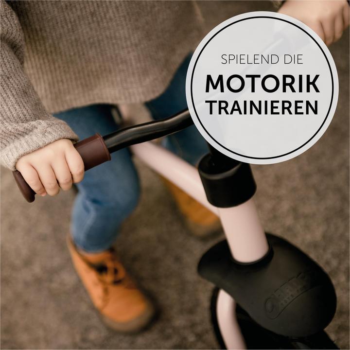 Produktbild Hauck E Z Rider 12 Matt Grey (12")