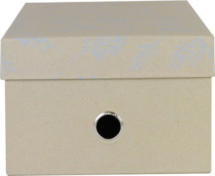 Actual product image Ancor Multibox Medium