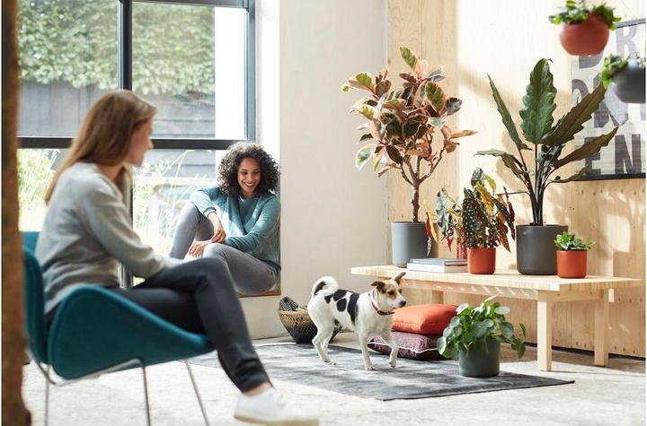 Produktbild Elho b.for soft (16 x 15 cm)