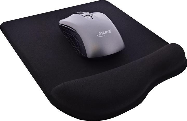 Image du produit InLine 55453S (S)