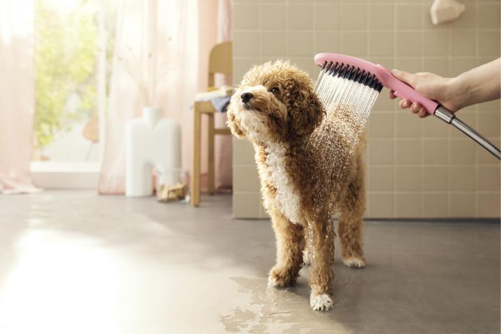 Produktbild hansgrohe DogShower Hundebrause 150 Select (3 Strahlarten, 7.60 l/min)
