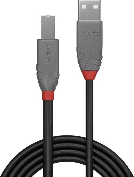 Productafbeelding Lindy USB/A-USB/B M-M (2 m, USB 2.0)