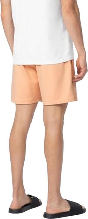 Produktbild 4F M074 Shorts (M)