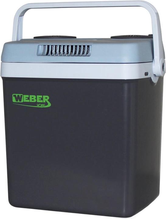 Kibernetik Weber (25 l)