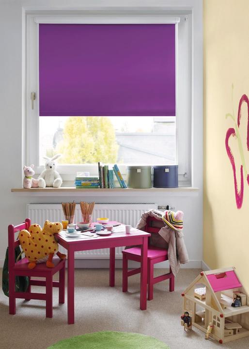 Immagine prodotto Gardinia Tenda a rullo termica (75 x 150 cm)