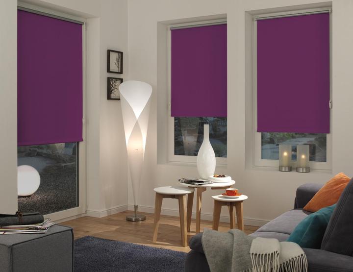 Immagine prodotto Gardinia Tenda a rullo termica (75 x 150 cm)