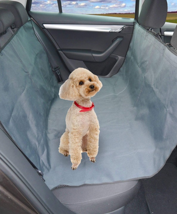 Actual product image Lanco Automotive Trunk/Rear Seat MatPremium