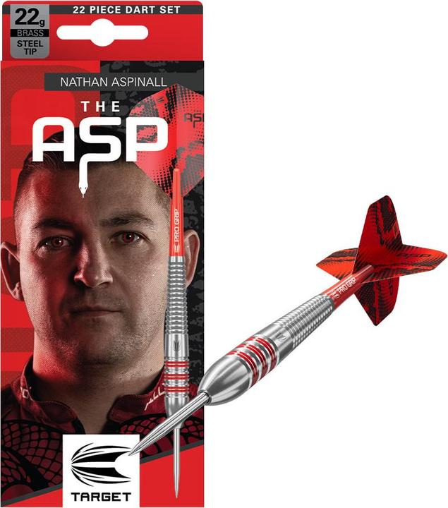 Target Steeldart Aspinall Brass (22 g)