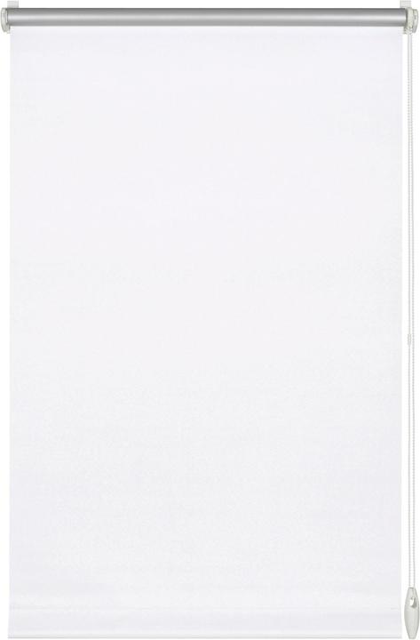 90 x 210 cm