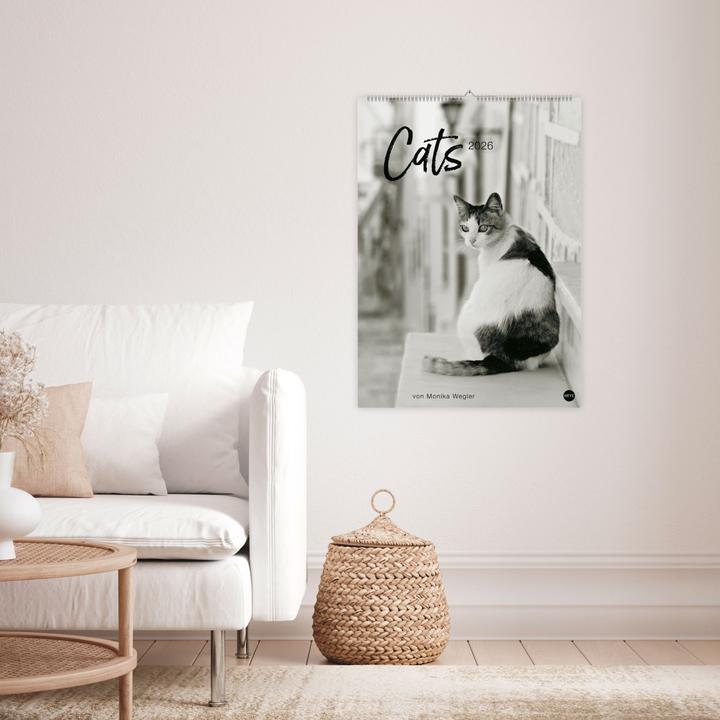 Produktbild Cats Edition Kalender 2026 (49 x 68 cm)