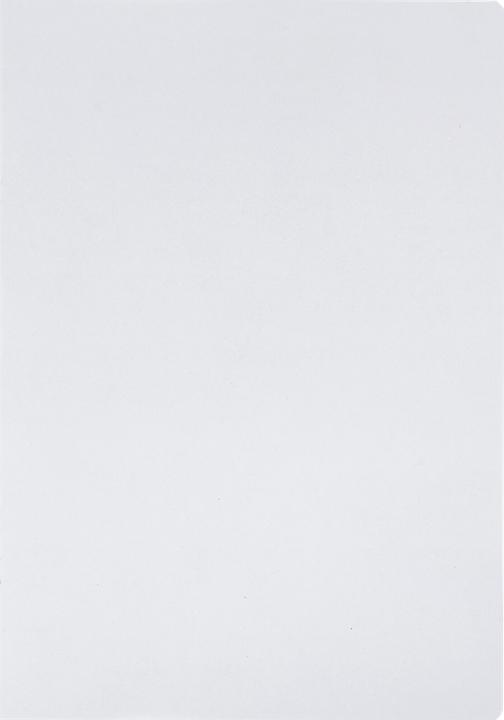 Actual product image Oxford Recycled exercise book, A4, ruling 20 (A4, Plain, No binding)