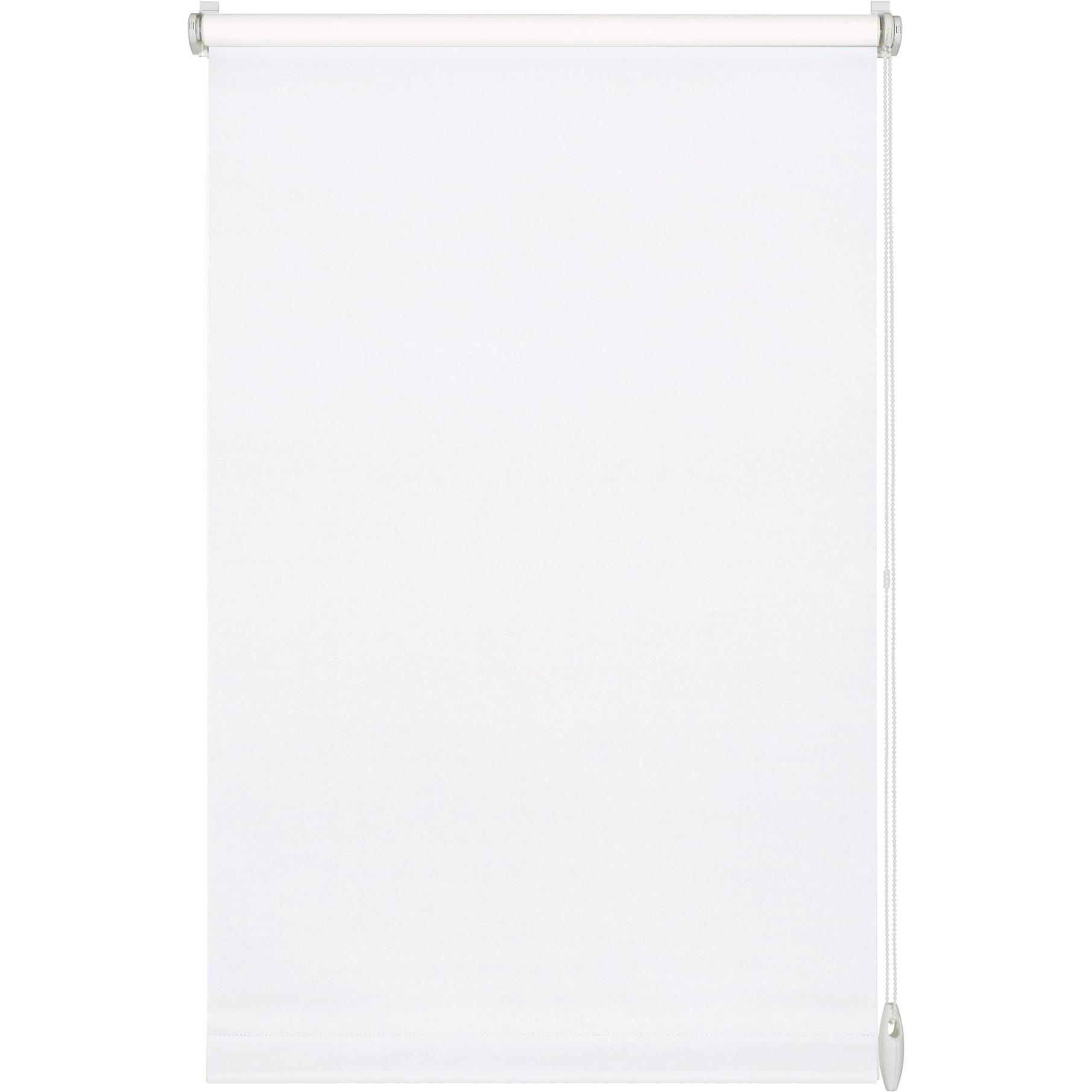 Gardinia, Tenda a rullo, Tenda a rullo Uni (120 x 150 cm)