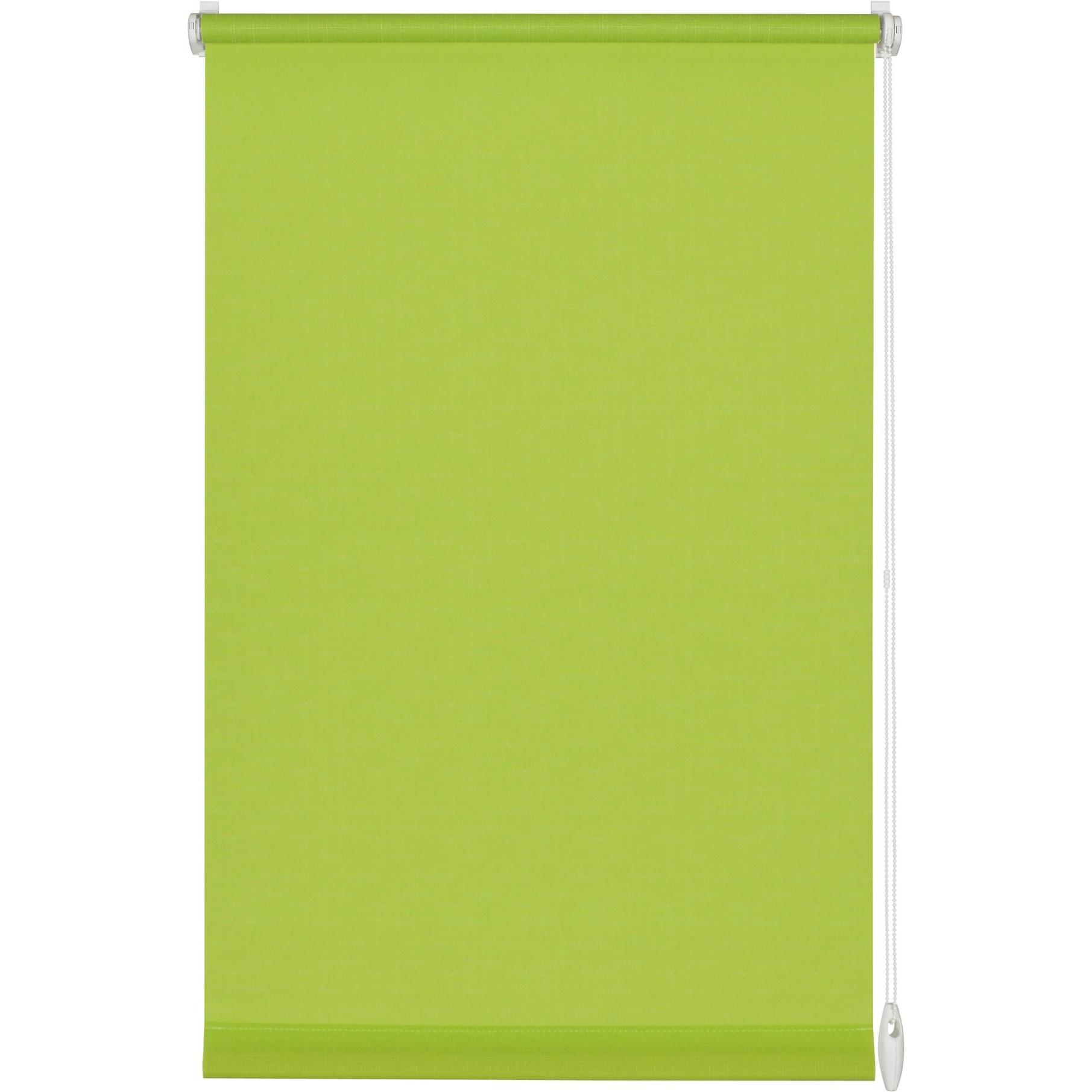 Gardinia, Tenda a rullo, Tenda a rullo Uni (120 x 150 cm)