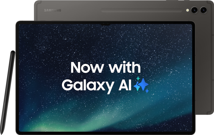 Samsung Galaxy Tab S9 Ultra (5G, 14.60", 256 GB, Graphite Grey)
