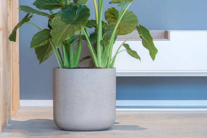 Image du produit Pottery Pots Charlie XL (32 cm)