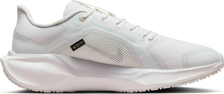 Produktbild Nike Pegasus 41 Gore-Tex (45.5)