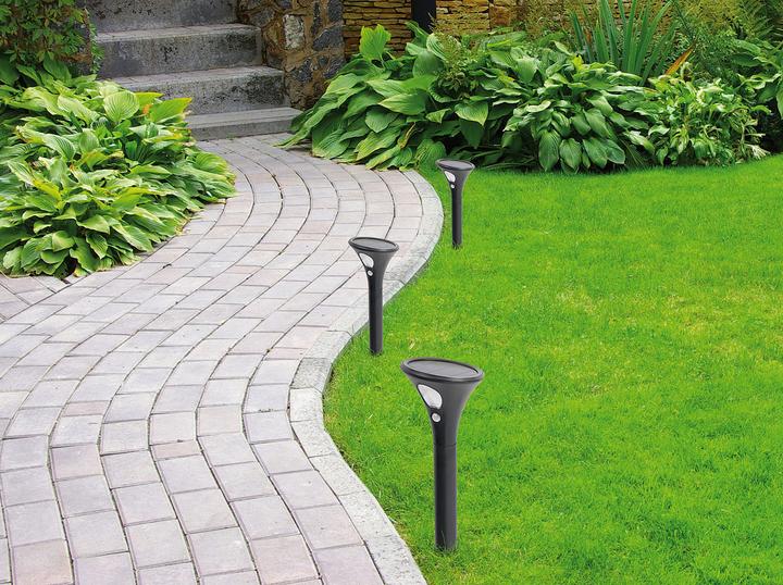 Immagine prodotto Revolt Luci solari per sentieri (50 lm, IP44)