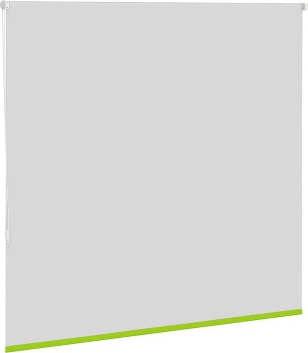 Produktbild vidaXL Verdunkelungsrollo (155 x 175 cm)