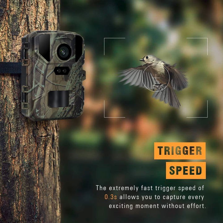Actual product image Tedura Wildlife surveillance camera mini