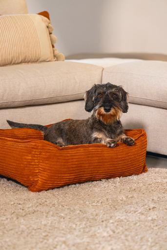 Actual product image Designed by Lotte Ribbed (Dog)