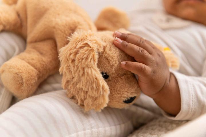 Actual product image Steiff Floppy Lumpi dog light brown 20cm (20 cm)