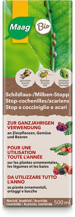 Maag Schildlaus- und Milben-Stopp (Frostspanner, Spinnmilben, Weissen Fliegen, Schildläuse, Blattläuse)