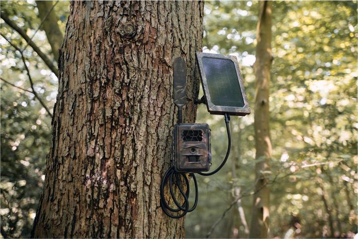 Image du produit Seissiger Caméra spéciale gibier LTE
