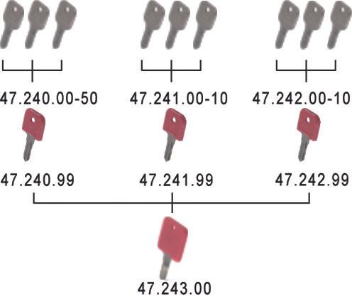 Image du produit WKS - P5000 Coeurs de cylindre avec clé (Clé à cylindre)