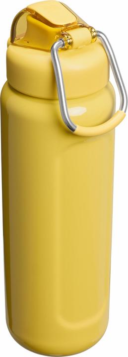 Immagine prodotto Stanley 1913 Wellspring Flasche (0.70 l)